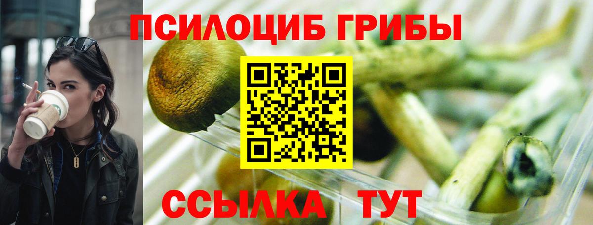 Псилоцибиновые грибы Cubensis  Вход с VPN  Галлюциногенные грибы ЛСД  Смоленск 